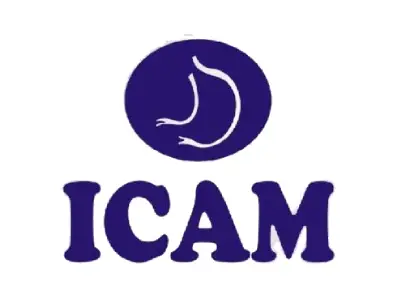 ICAM (1)